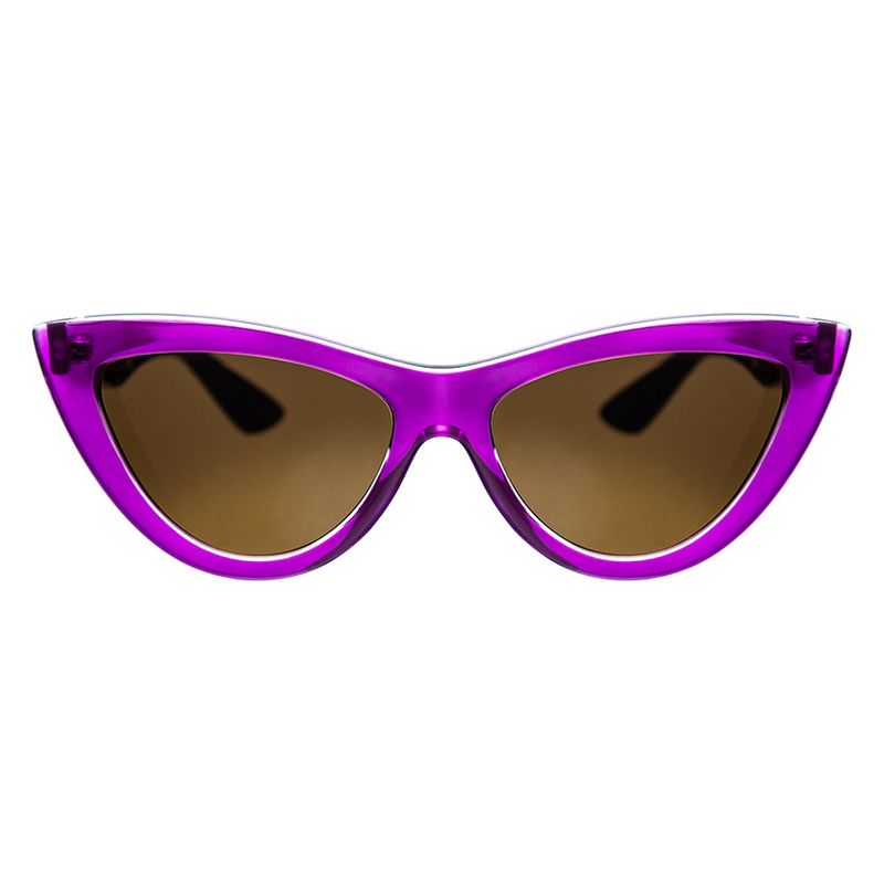 gatinho-belle-roxo-castanho